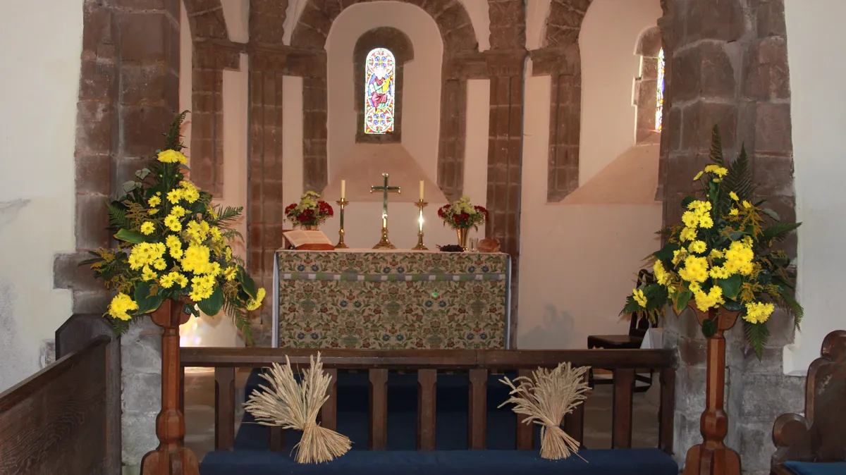 Harvest festival flowers and wheat sheaves at Kilpeck church Yellow chrysanthemums and wheat sheaves arranged around the altar of Kilpeck church for an English harvest festival
