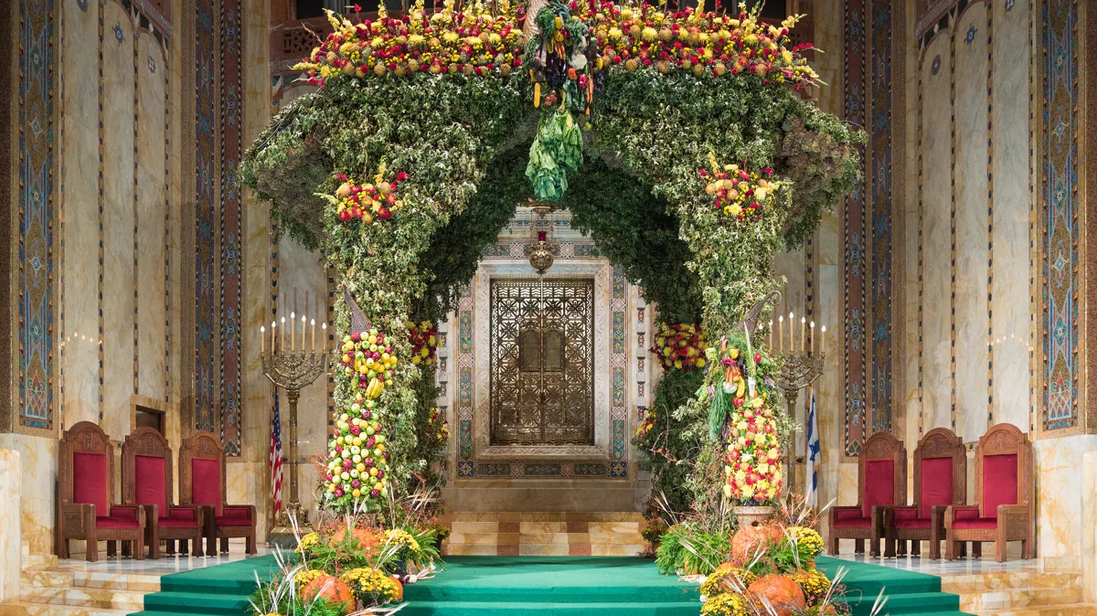 Sukkah with a leafy roof at Temple Emanu-El in New York A large sukkah covered in green branches, fruit and autumn flowers inside Temple Emanu-El in Manhattan during Sukkot